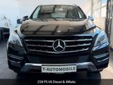 Mercedes-Benz ML 350 CDI BlueTec 4Matic*PANO*KAMERA*OFFROAD* - Mercedes-Benz ML 350: Bluetec