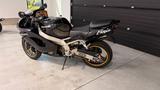 Kawasaki Ninja ZX-9R | 131 PS | Akrapovič | Stahlflex - KAWASAKI 1998 ZX9R