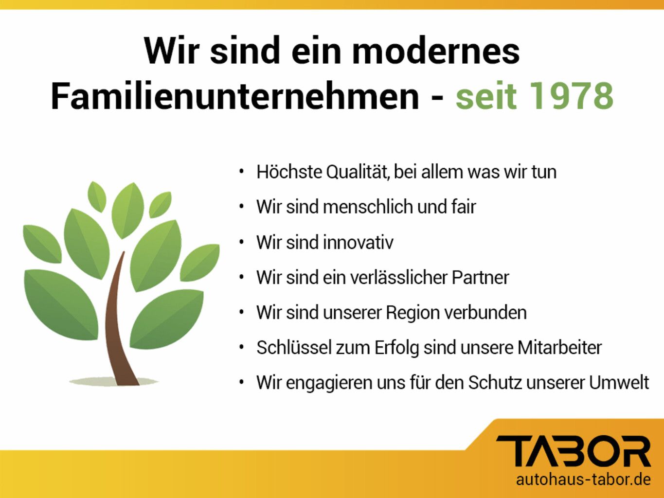 Renault Megane - Bild 7