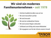 Renault Megane - Vorschau Bild 7