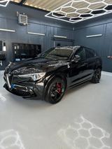Alfa Romeo Stelvio 2.9 V6 Bi-T. 375kW Quadrifoglio AT8-... - Alfa Romeo: Quadrifoglio