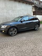 Audi SQ5 3.0 TDI comp. tiptronic quattro / Motor neu - Audi SQ5 von privat