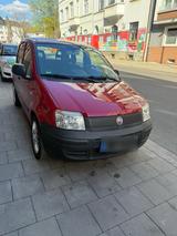 Fiat Panda 1.0 - Fiat Panda in Hagen