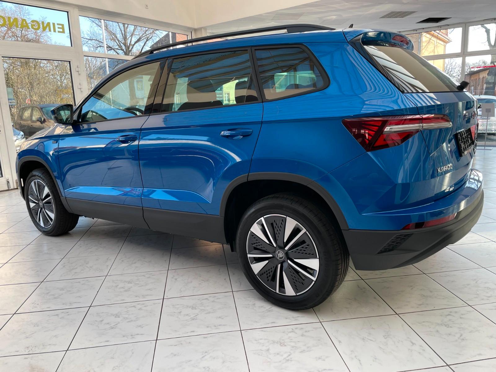 Skoda Karoq 1.5 TSI DSG Tour*Assist*Winter*Navi*AHK