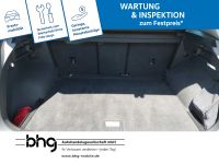 Volkswagen Tiguan - Vorschau Bild 12