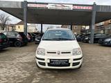 Fiat Panda 1.2 8V Dynamic - Fiat Panda: Limousine