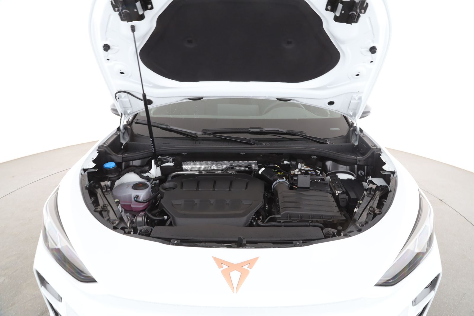 Cupra Terramar - Bild 9