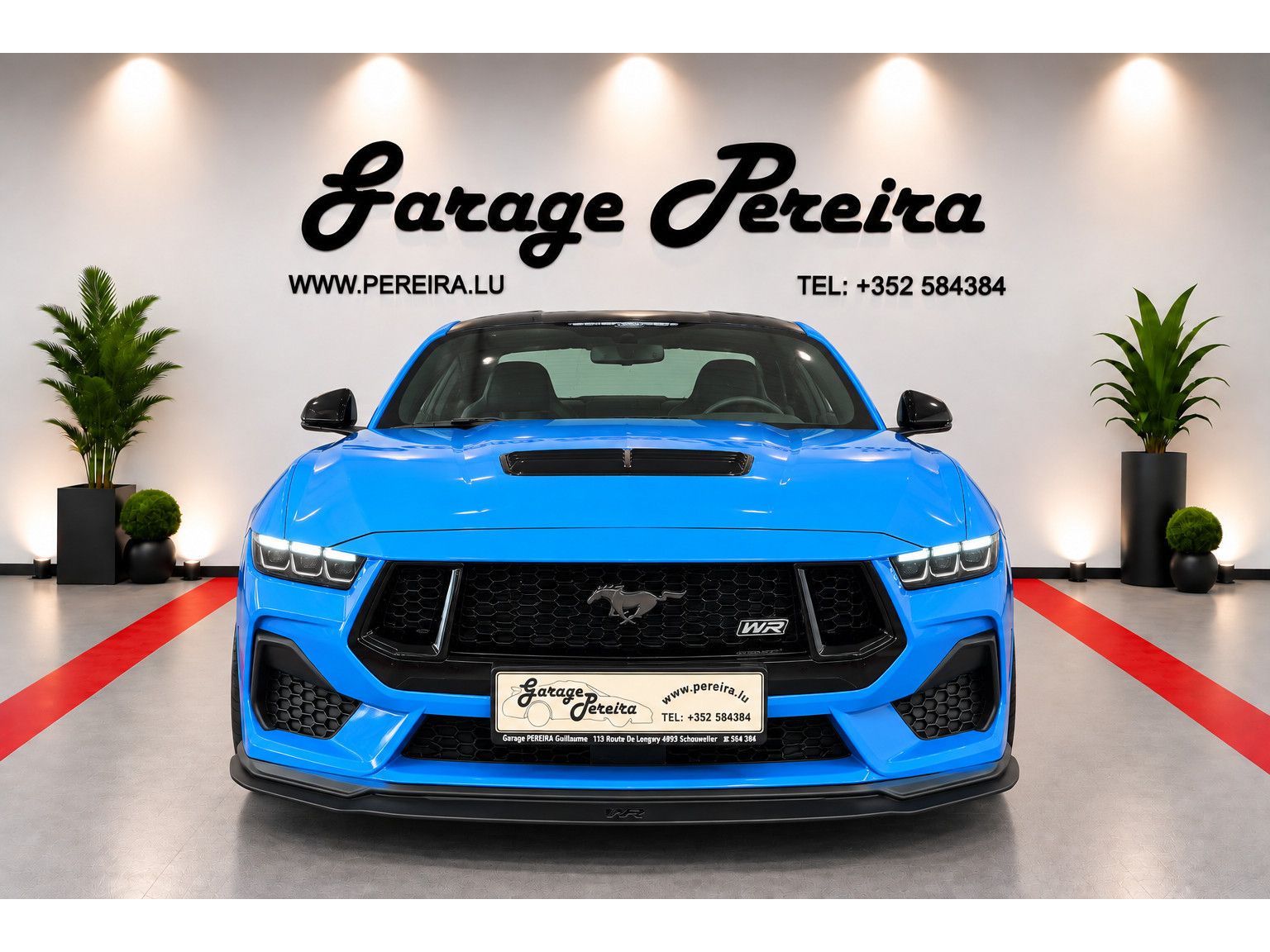 Ford Mustang 5.0 V8 GT LIMITED EDITION WR N°006 GARAN imagem 3