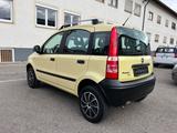 Fiat Panda 1.2 Trekking 4X4 *TÜV11/27*BREMSEN NEU* - Fiat Panda: 1.1