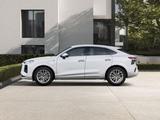 Audi Q3 Sportback e-hybrid S tronic *Bestellfahrzeug* - : Geländewagen, Best