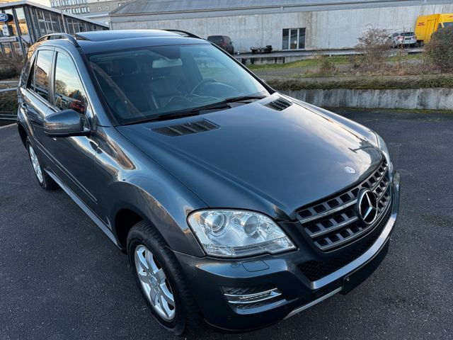 Mercedes-Benz ML 300 CDI 4MATIC BlueEFF. SHD/LEDER/AHK