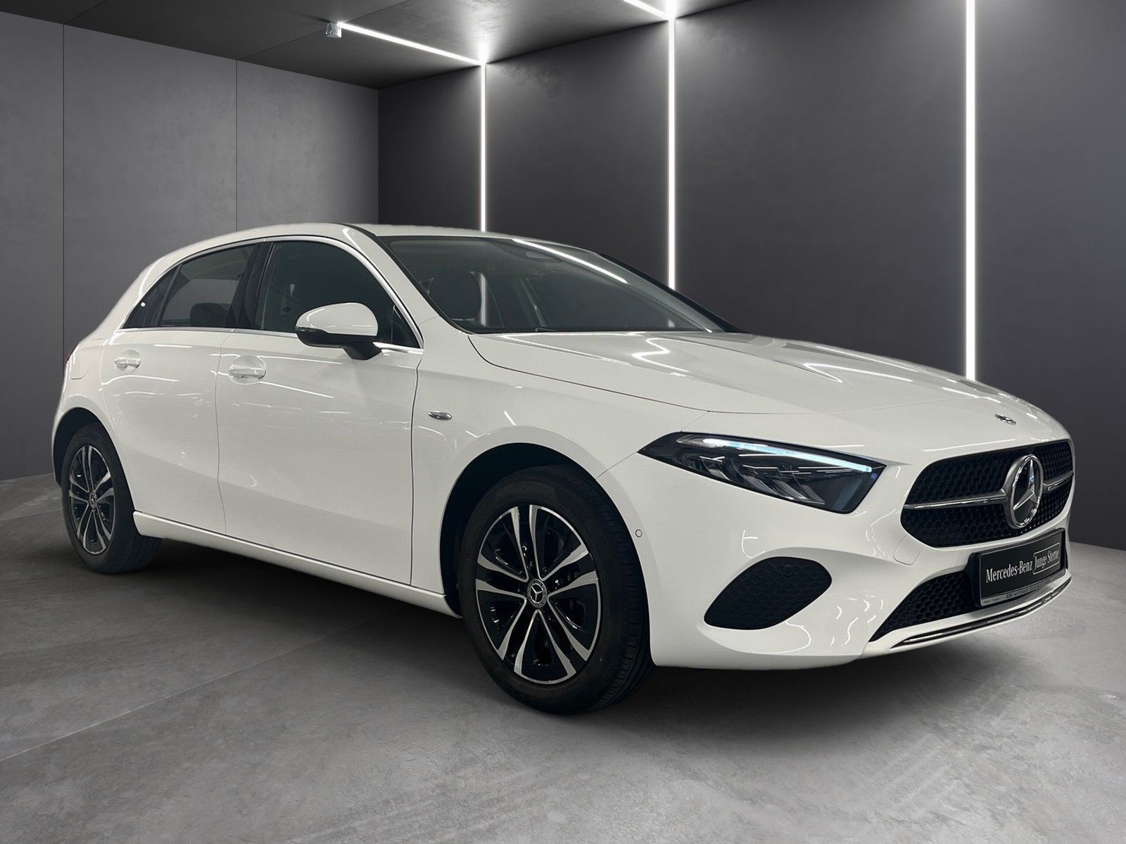 Fahrzeugabbildung Mercedes-Benz A 250 e Progressive*AHK*Distro*Totwink*11kW*LED*