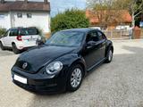 Volkswagen Beetle 1.2 TSI - - VW Beetle von privat