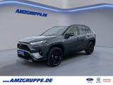 Toyota RAV 4 Hybrid 2Tone+Leder+el.Heckklappe