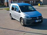 Volkswagen VW Caddy 1,4TSI Trendline Kasten  mit LKW ... - Volkswagen Caddy: Lkw