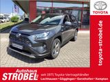 Toyota RAV 4 2.5 4x4 Hybrid Team Deutschland - Toyota RAV 4: De