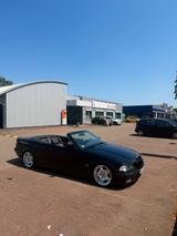 BMW E36 328i Cabrio - BMW 328 aus 1999: 328i