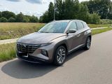 Hyundai Tucson 1.6 CRDi 48V DCT Trend|Krell|LED|AHK