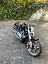 Harley-Davidson V-Rod Muscle Costumbike 2009 - Harley-Davidson Motorräder in Nürnberg