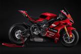 Ducati Panigale V4 Marquez 2025 World Champion Replica - DUCATI PANIGALE V4