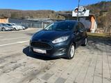 Ford Fiesta Celebration**GEPFLEGT** - Ford Fiesta: Celebration