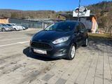 Ford Fiesta Celebration**GEPFLEGT** - Ford Fiesta: Celebration