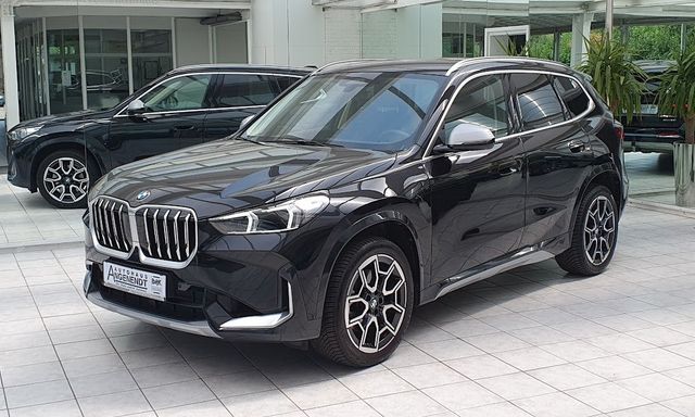 BMW X1 23 i xDrive *19 Zoll-Allwetter- schwenkb.AHK*