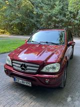 Mercedes-Benz ML 55 AMG AMG - Mercedes-Benz ML 55 AMG Gebrauchtwagen