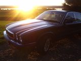 Jaguar XJ8 EXECUTIVE  *Leder schwarz* KLIMA u.v.m.   - Jaguar XJ8: Executive