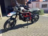 Ducati Scrambler Desert Sled - DUCATI SL