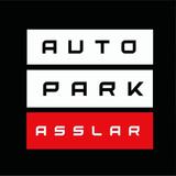 Cupra Ateca 4Drive/Virtual/DCC/360°CAM/19z - graue Cupra Ateca