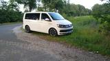 Volkswagen T6 Transporter 2.0 tdi 140ps LKW  - Volkswagen: Transporter 140ps