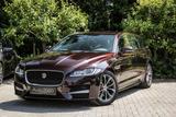 Jaguar XF R-Sport Prestige Edition 2.0T / 12429netto - Jaguar: Sport