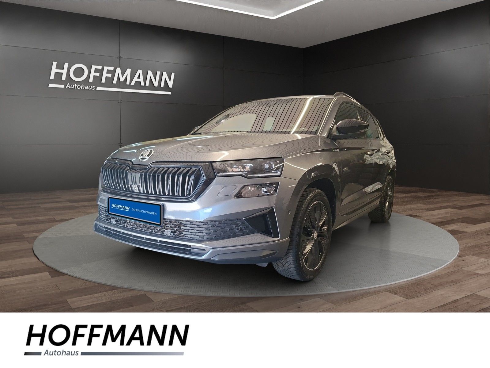 Fahrzeugbild von Skoda Karoq