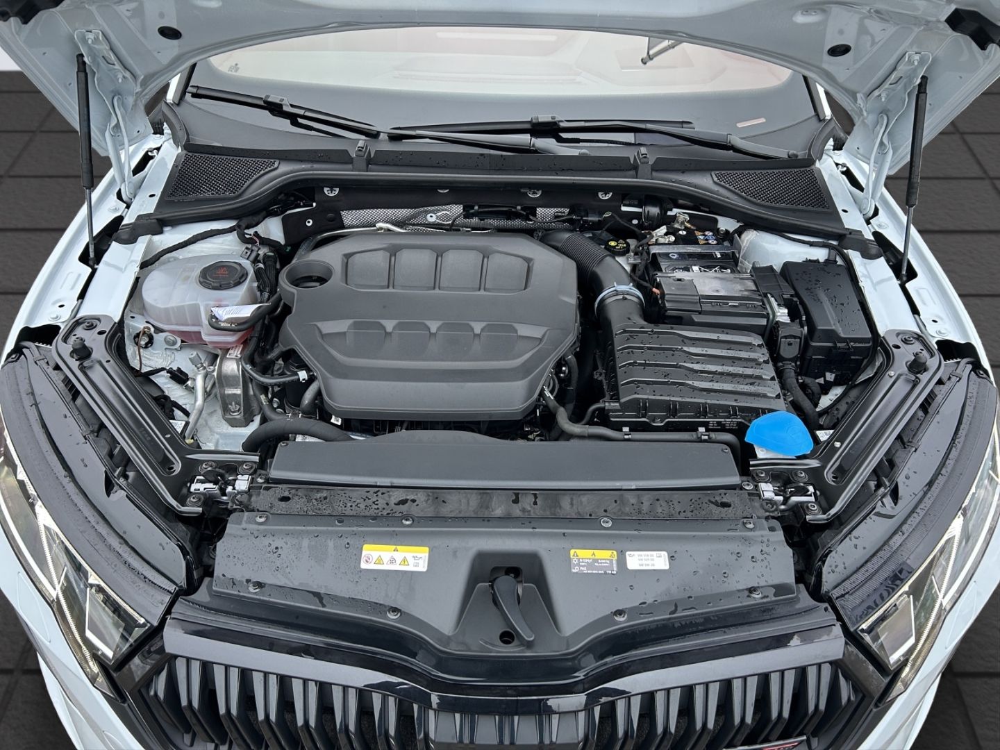 Octavia 2.0TSI 195 kW Combi RS DSG PanoDach HuD