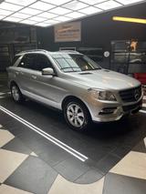 Mercedes-Benz Mercedes ML250 - Allrad - : Mercedes Ml