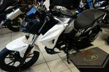 SYM NH X 125 Neu ABS weiß/grau no MT125, Duke - SYM NH X 125