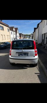 Fiat Panda - Fiat Panda Gebrauchtwagen in Stuttgart