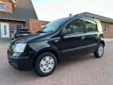 Fiat Panda 1,2*KLIMA*GARANTIE*ZAHNRIEMEN NEU* - Fiat Panda aus 2008