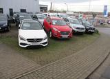Dacia Dokker Express dci 90,SHZ,PDC.Klima,E.Paket - Dacia Dokker: Dci