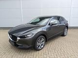 Mazda CX-30 2.0l Skyactiv-X (186PS) Takumi Leder GSD B - Mazda CX-30 Takumi mit Benzin-Antrieb