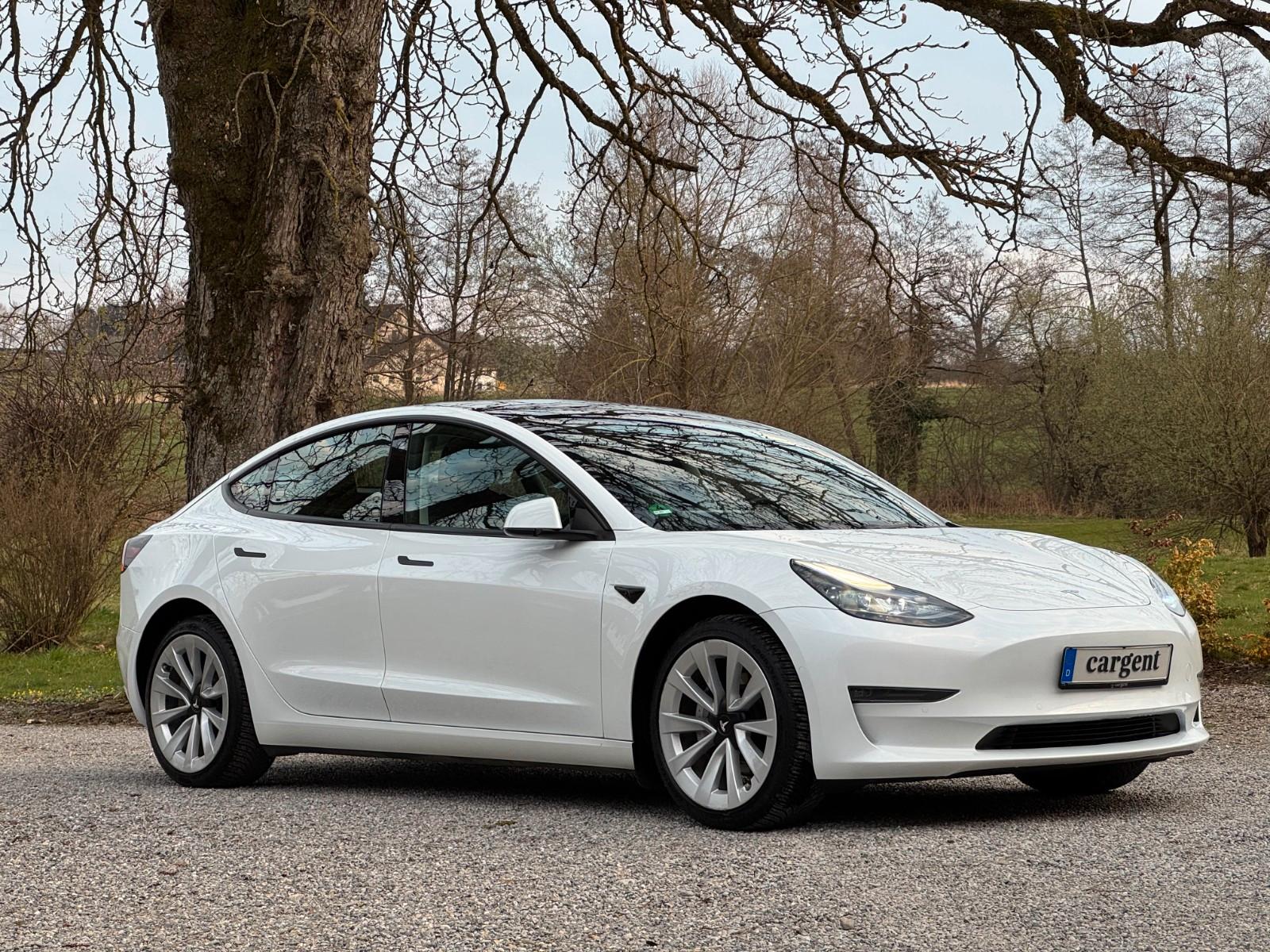 Tesla Model 3 Long Range AWD AHK Allwetter SOH 93%