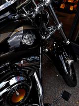 Harley-Davidson FXDWG 103 Dyna Wide Glide  - HARLEY-DAVIDSON DYNA WIDE GLIDE