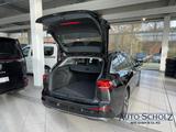 Volkswagen Golf Variant VIII 1.5 TSI Goal+GJR+NAVI+ACC+PDC - Jahreswagen: Kombi