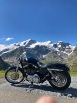 Harley-Davidson Sportster XL 1200 C - HARLEY-DAVIDSON 2004 1200 SPORTSTER