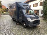 Iveco Daily 50C15 Koffer 5,2t - Iveco Daily 2 5