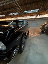 Ford 1965 Mustang Fastback neuer Motor 302 REAL CAR - Ford Mustang aus 1965: Fastback