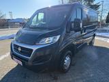 Fiat Ducato Kasten 35 140 Natural Power L2H1 - Fiat Ducato mit Benzin-Antrieb: Kleinbus