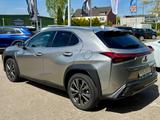 Lexus UX 250h*ACC*VIRT.CP*RFK*F-SPORT*15J-GARANTIE - Lexus in Duisburg