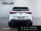 Lexus UX 250h Style Edition *Bi-LED*GJR*CAM*SHZ*ACC*PD - Gebrauchtwagen in Chemnitz